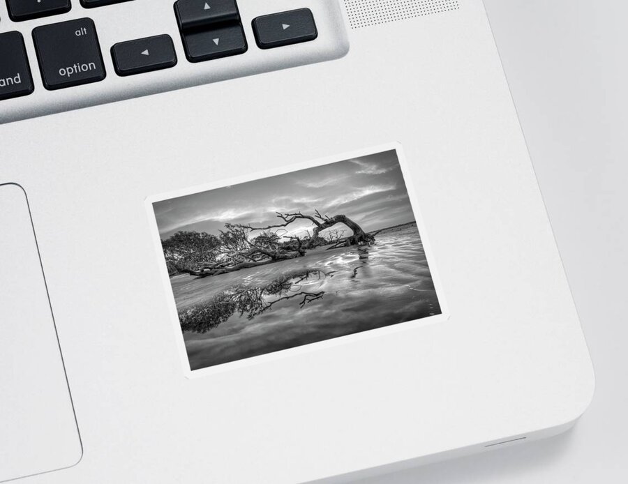 Clouds Sticker featuring the photograph The Giant has Fallen Jekyll Island Sunrise Black and White by Debra and Dave Vanderlaan