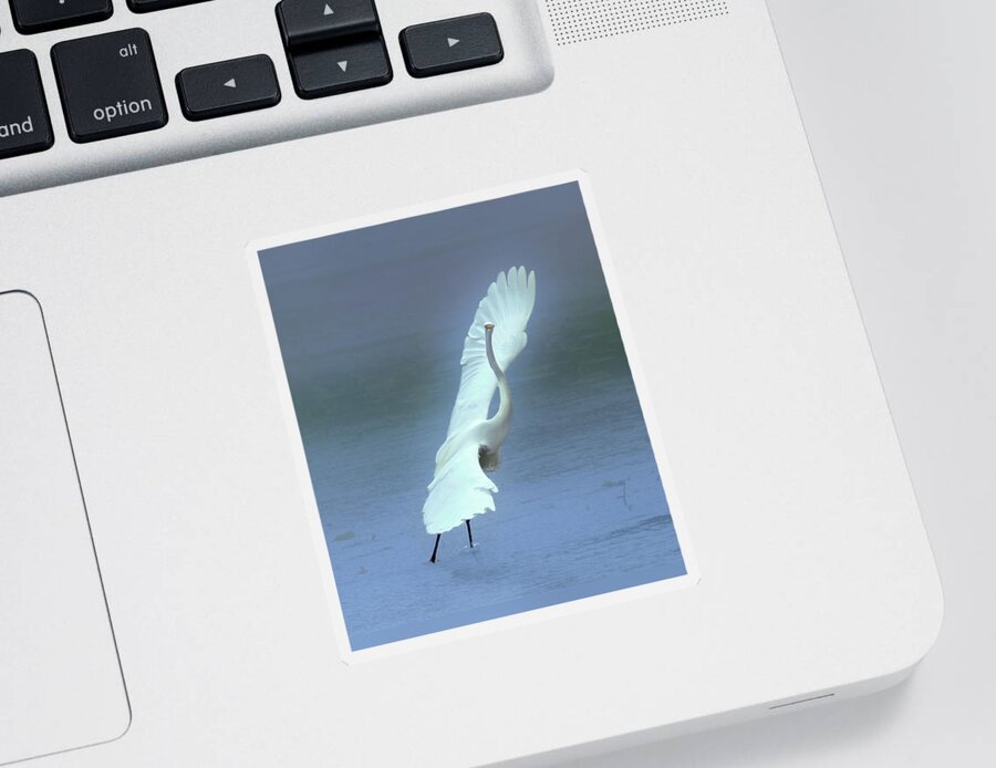 Faune Sticker featuring the photograph The Great dancing Egret by Carl Marceau