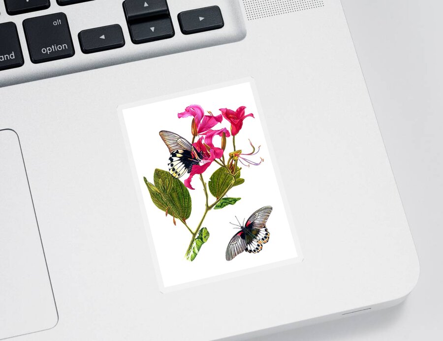 Papilio Memnon Sticker featuring the painting The Great Mormon Butterfly by Espero Art