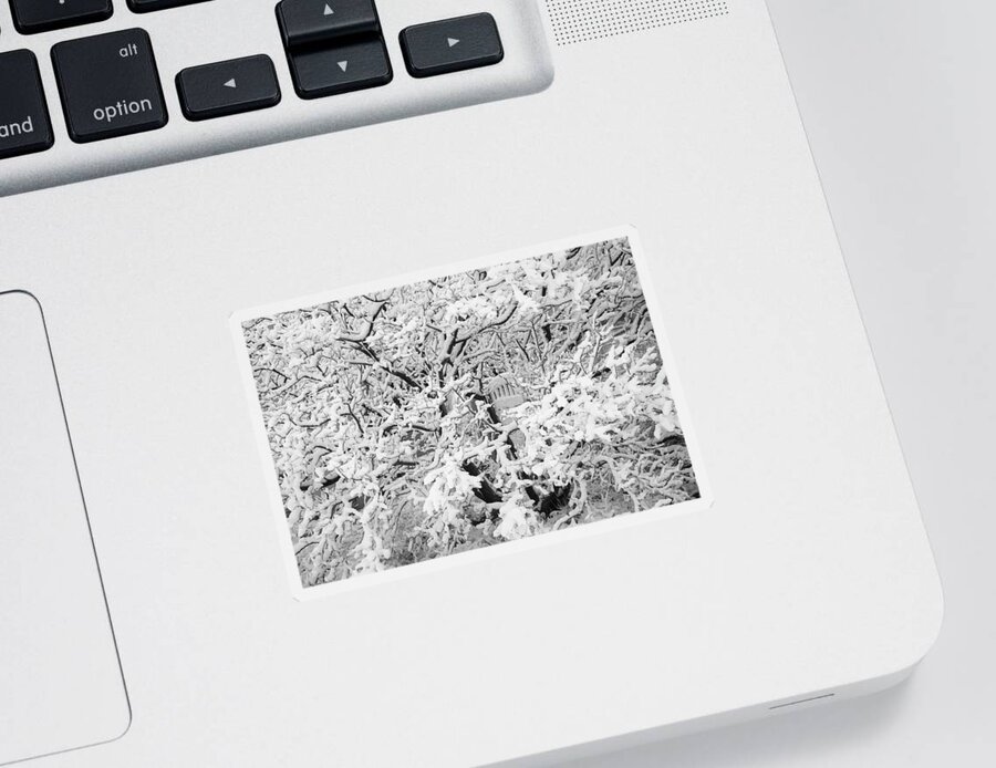 Black And White Sticker featuring the photograph The Hidden Gate by Mary Lee Dereske