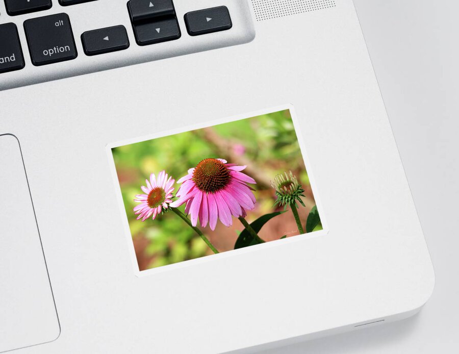 Flowers Sticker featuring the photograph The Love of Flowers by Trina Ansel