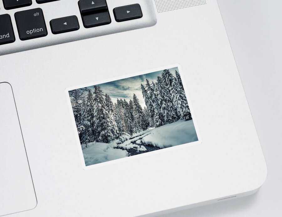 Natural Beauty Sticker featuring the photograph The Natural Path - River Through the Snowy Forest by Benoit Bruchez