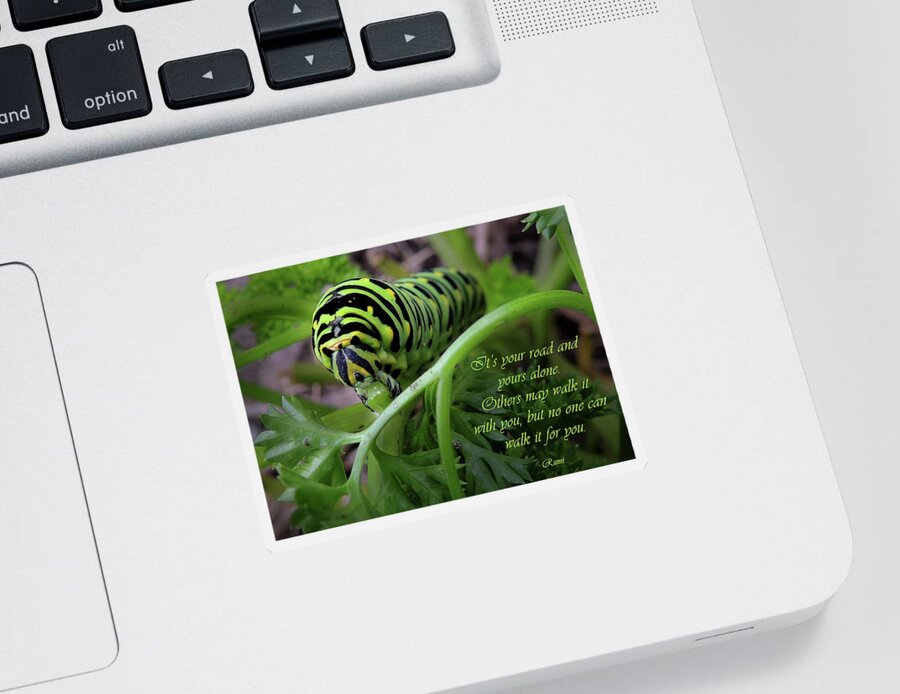 Sentiment Sticker featuring the photograph The Road of the Caterpillar by Nancy Griswold