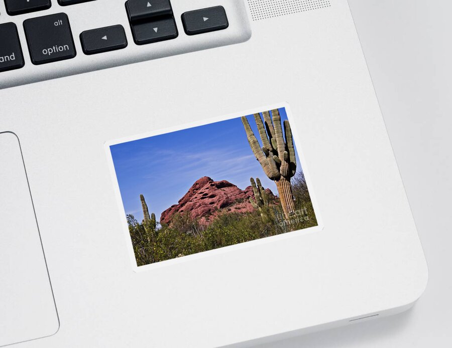 Cactus Sticker featuring the photograph The Saguaro Cacti and Red Rocks by Kirt Tisdale
