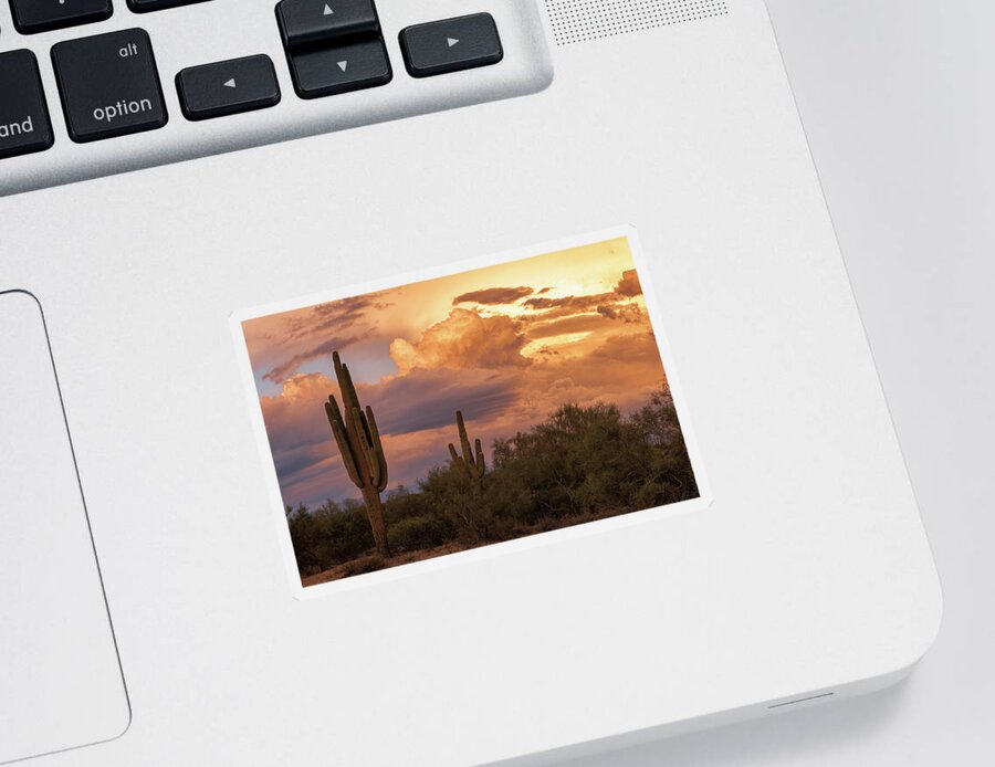 American Southwest Sticker featuring the photograph The Smell of Rain by Rick Furmanek