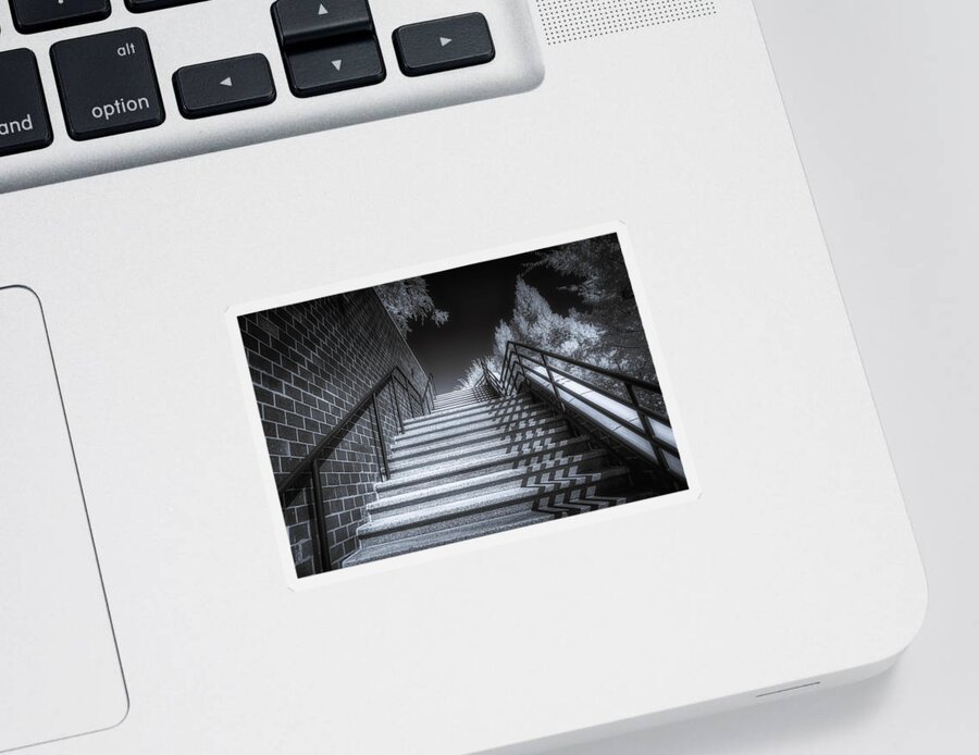 Stairs Sticker featuring the photograph The Stairs by Penny Polakoff