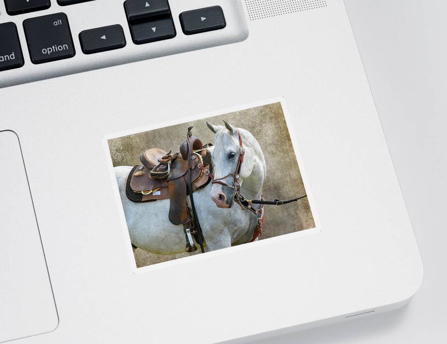 Horse Sticker featuring the photograph The Steed by Fon Denton