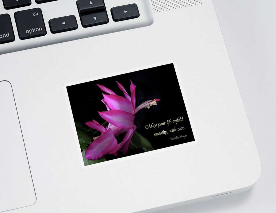 Sentiment Sticker featuring the photograph The Unfolding and Cactus by Nancy Griswold