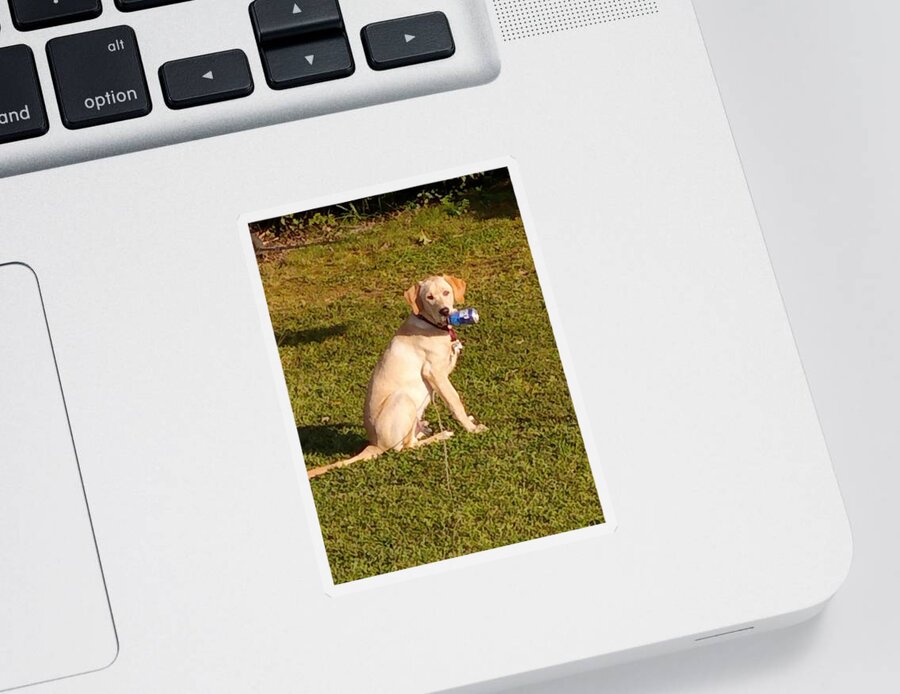 Labrador Retriever Sticker featuring the photograph This Buds for you by Kim Galluzzo