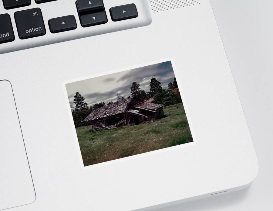 Cabin Sticker featuring the photograph This old cabin matte by Cathy Anderson