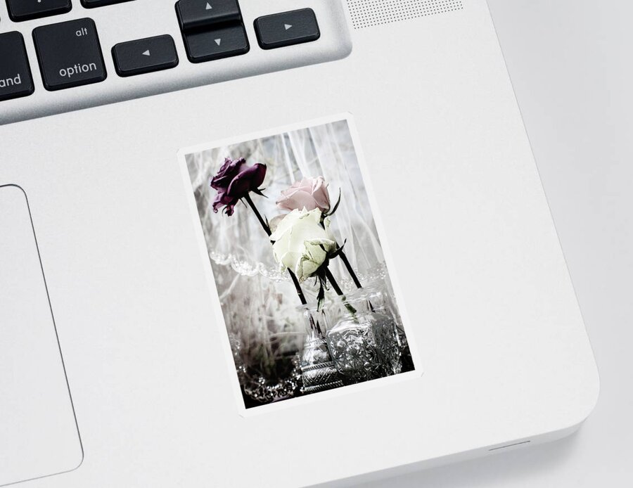 Roses Sticker featuring the photograph Three Vases and Three Roses by W Craig Photography