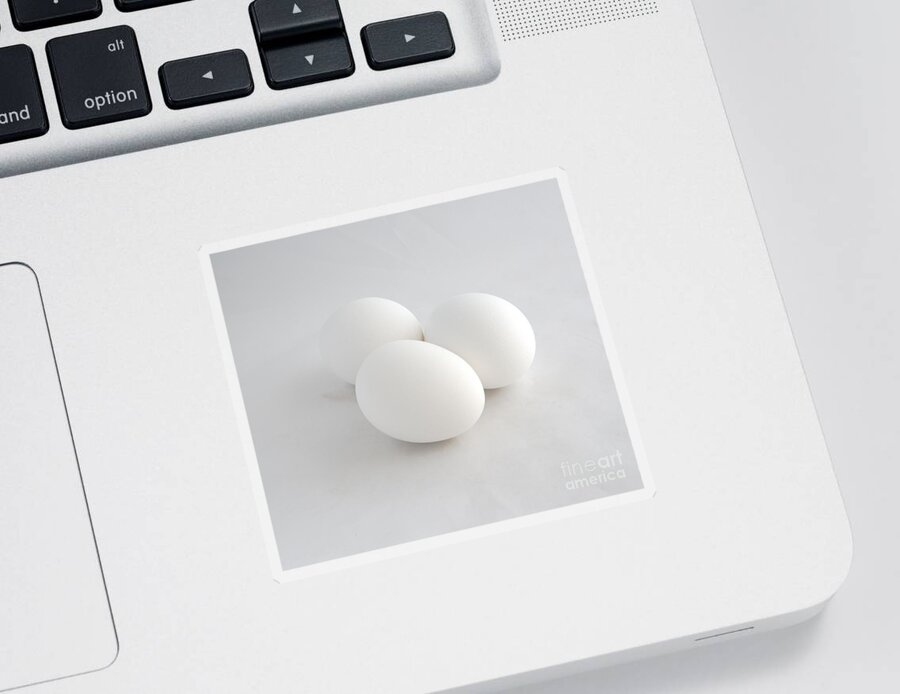 Eggs Sticker featuring the photograph Three White Eggs by Kae Cheatham
