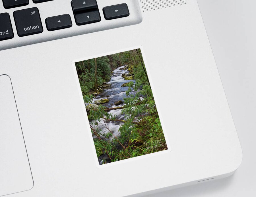 Smoky Mountains Sticker featuring the photograph Thunderhead Prong 31 by Phil Perkins