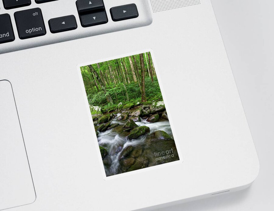 Smoky Mountains Sticker featuring the photograph Thunderhead Prong 6 by Phil Perkins