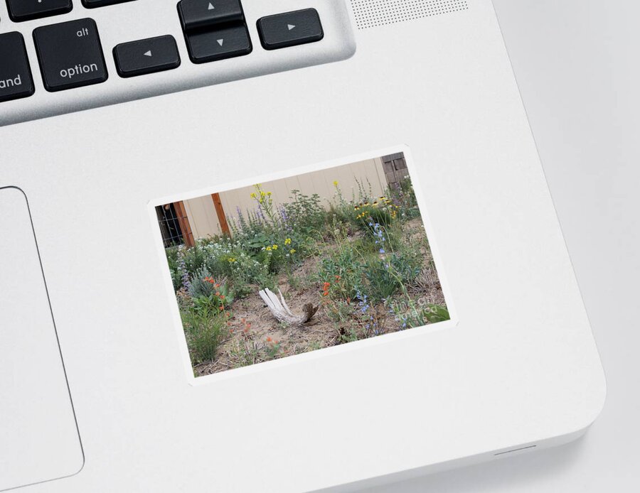 Native Wildflowers Sticker featuring the photograph ThunderVisions Studio Flowerbed by Doug Miller