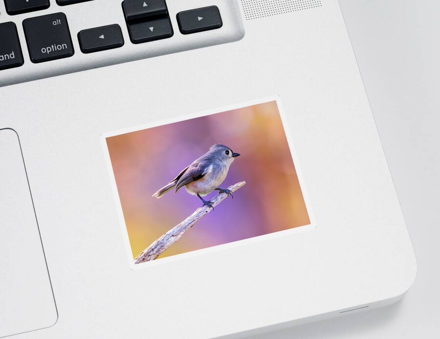 Bird Sticker featuring the photograph Tit On Violet by Bill and Linda Tiepelman