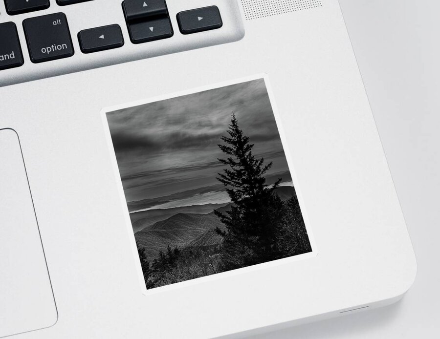 Tree Sticker featuring the photograph Top of the world by Jamie Tyler