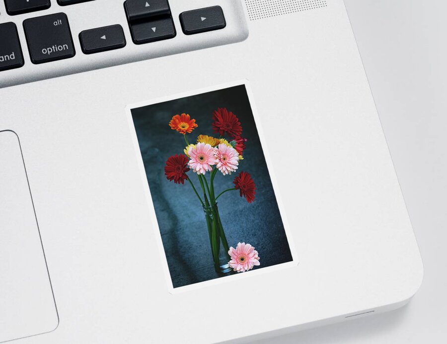 Gerberas Sticker featuring the photograph Tranquility by Vanessa Thomas
