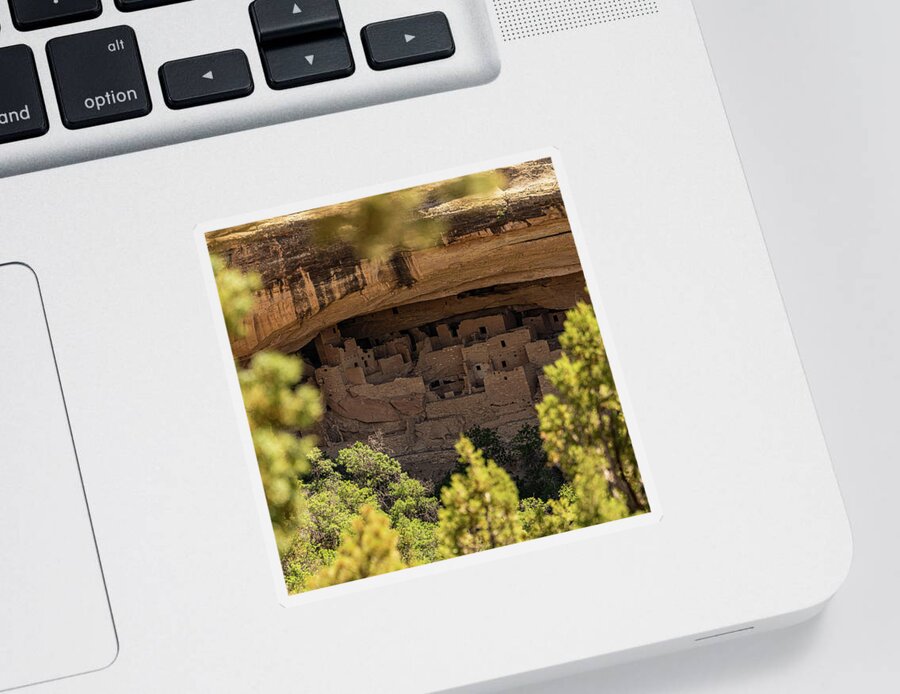 Chapin Mesa Sticker featuring the photograph Tree Branches Frame Spruce Tree House From A Distance by Kelly VanDellen