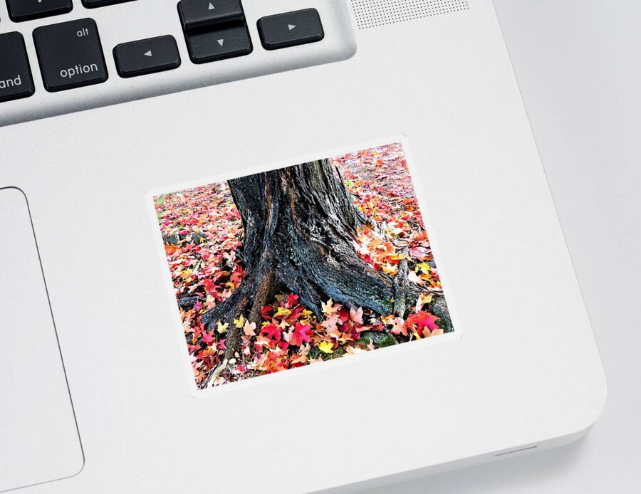 Tree Roots Sticker featuring the photograph Tree Confetti in Autumn by Linda Stern