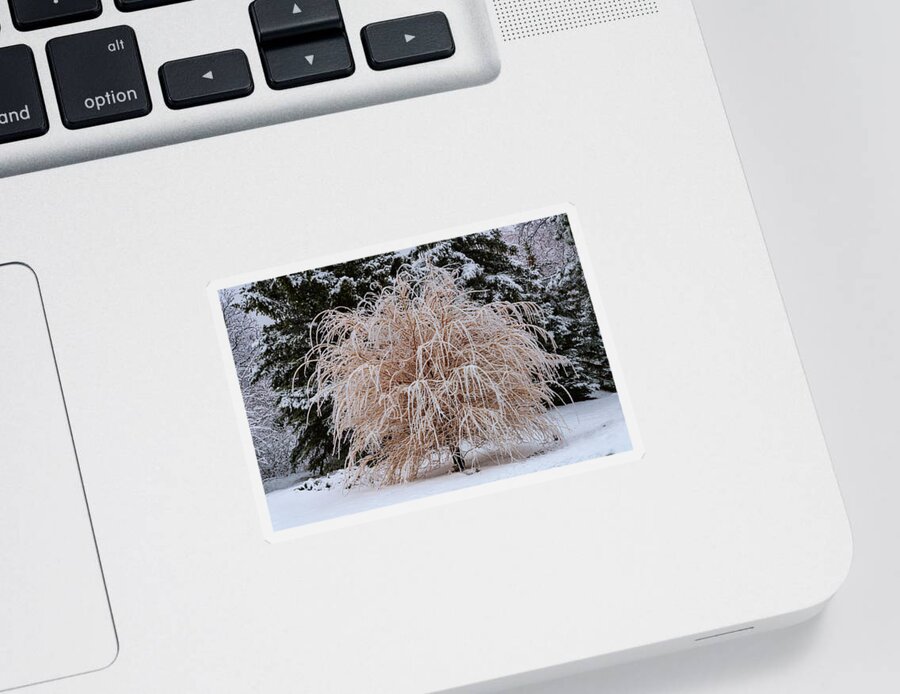 Tree Sticker featuring the photograph Tree Frosting by James BO Insogna