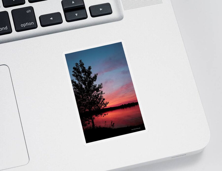 Tree Sticker featuring the photograph Tree in Sunset by Mary Walchuck