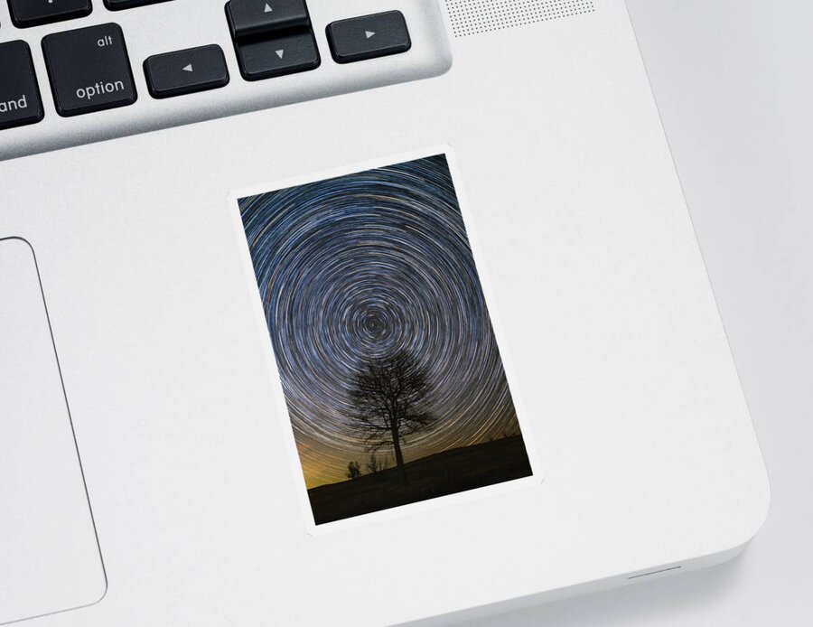 Star Trails Sticker featuring the photograph Tree Topper by Chuck Rasco Photography