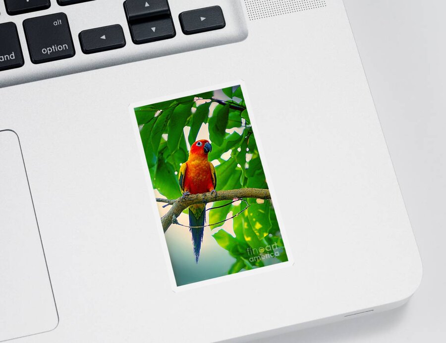 Parakeet Sticker featuring the photograph Tropical Jungle Parakeet by Ian Gledhill