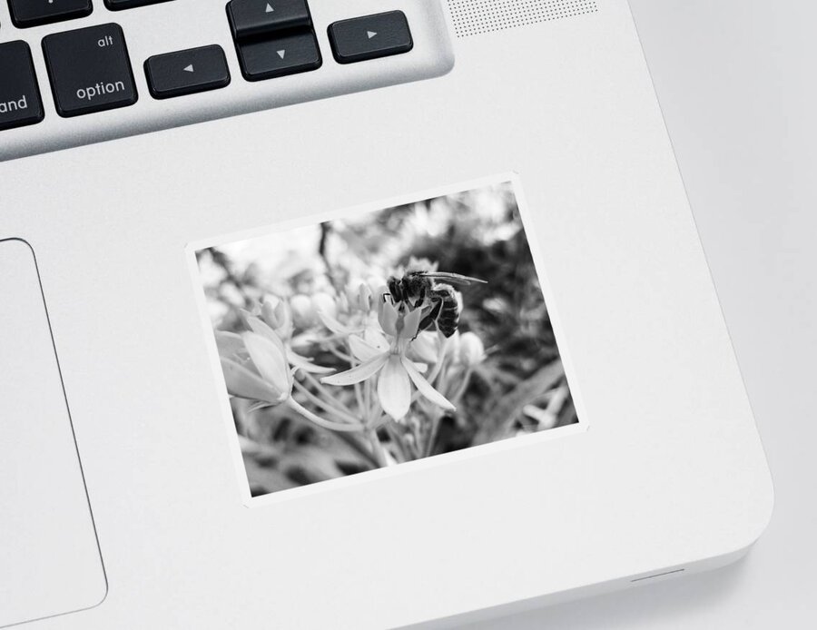 Asclepias Curassavica Sticker featuring the photograph Tropical Milkweed and a Bee by W Craig Photography