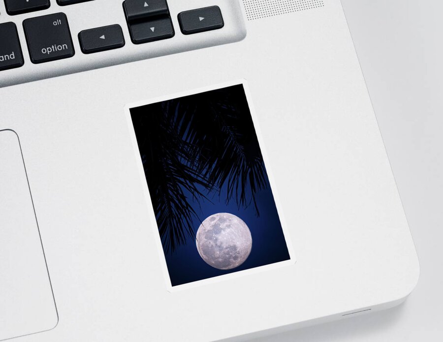 Moon Sticker featuring the photograph Tropical Moonglow by Mark Andrew Thomas