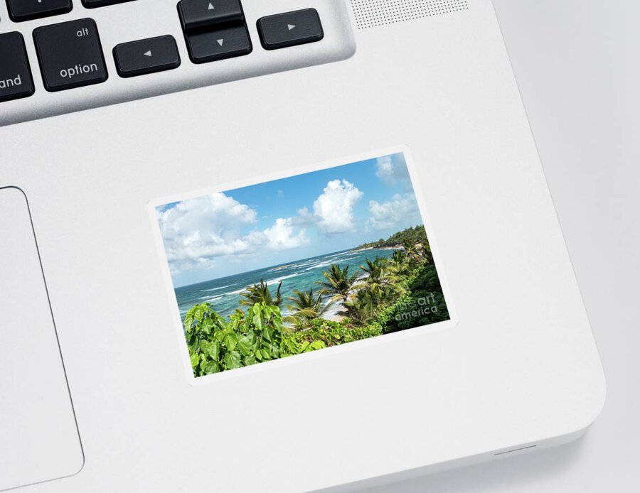 Palm Sticker featuring the photograph Tropical San Juan, Puerto Rico by Beachtown Views