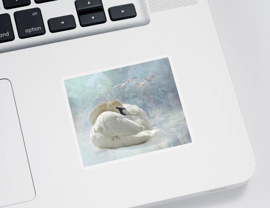 Swan Sticker featuring the photograph Trumpeter Textures #1 - Swan Feather by Patti Deters