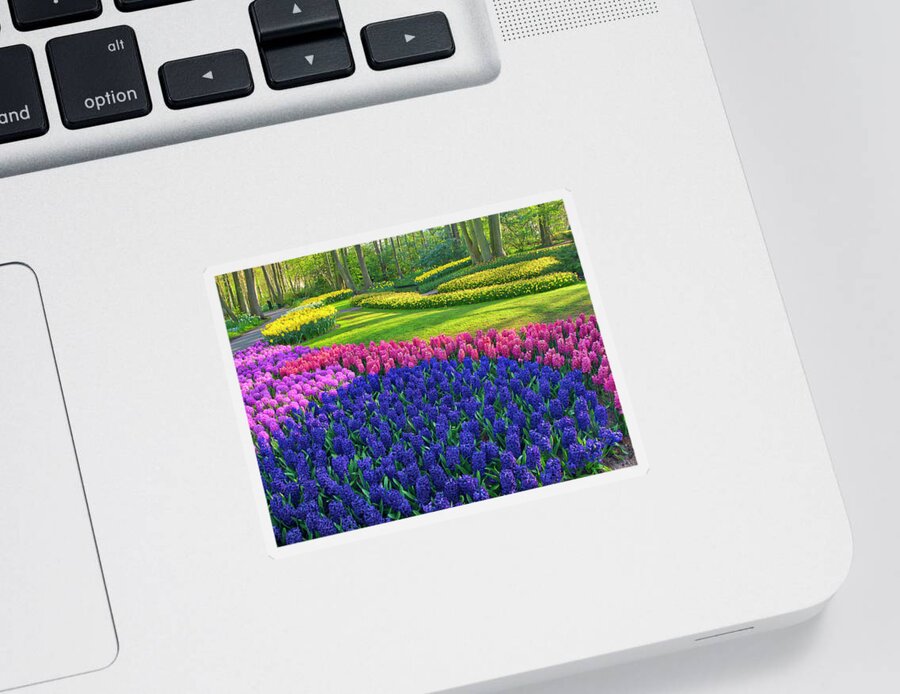 Agricultural Sticker featuring the photograph Tulip Curves by Eggers Photography