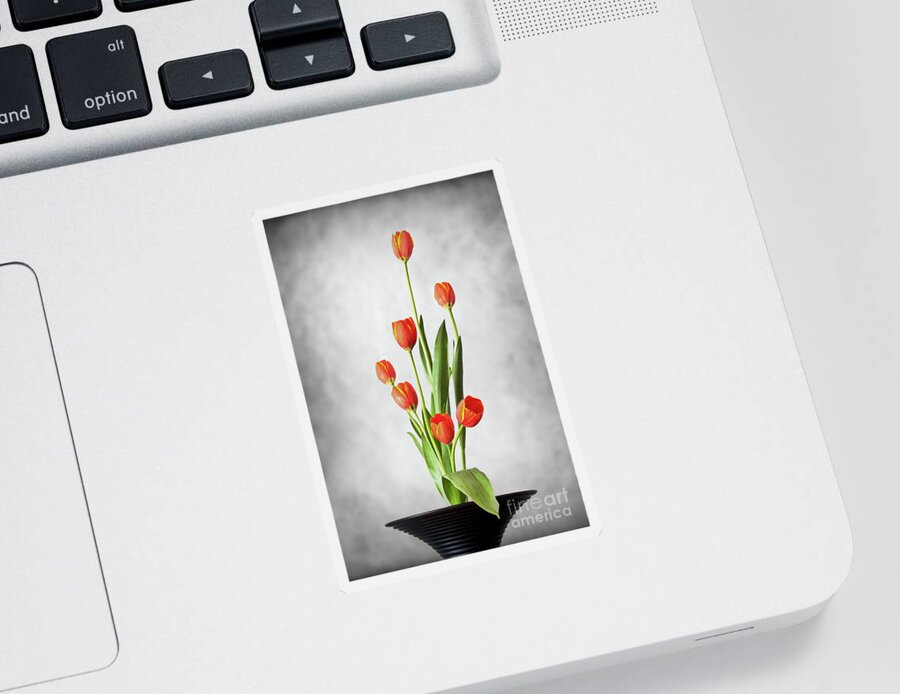 Tulip Sticker featuring the photograph Tulip ikebana by Delphimages Photo Creations