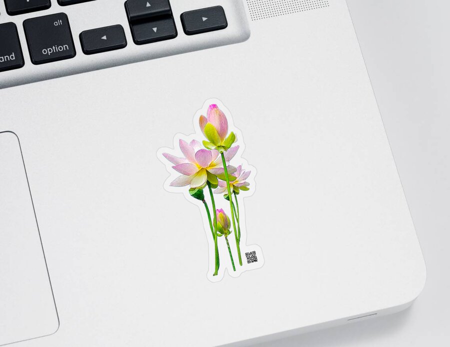 Flowers Sticker featuring the mixed media Tulipan by Rafael Salazar