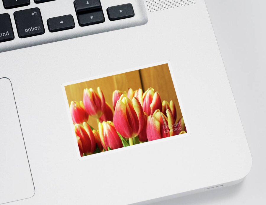 Tulips Sticker featuring the photograph Tulips by Pics By Tony