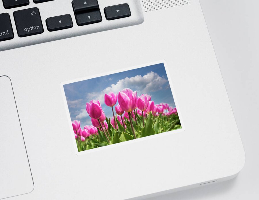 Clouds Sticker featuring the photograph Tulips Waving in the Wind by Debra and Dave Vanderlaan