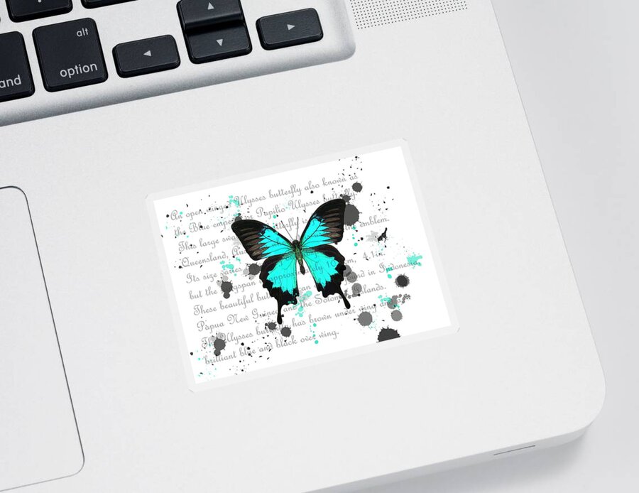 Butterfly Sticker featuring the drawing Ulysses Butterfly White Background by Joan Stratton