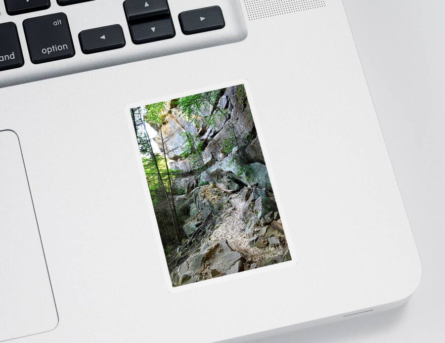 Pogue Creek Canyon Sticker featuring the photograph Unnamed Rock Face 7 by Phil Perkins