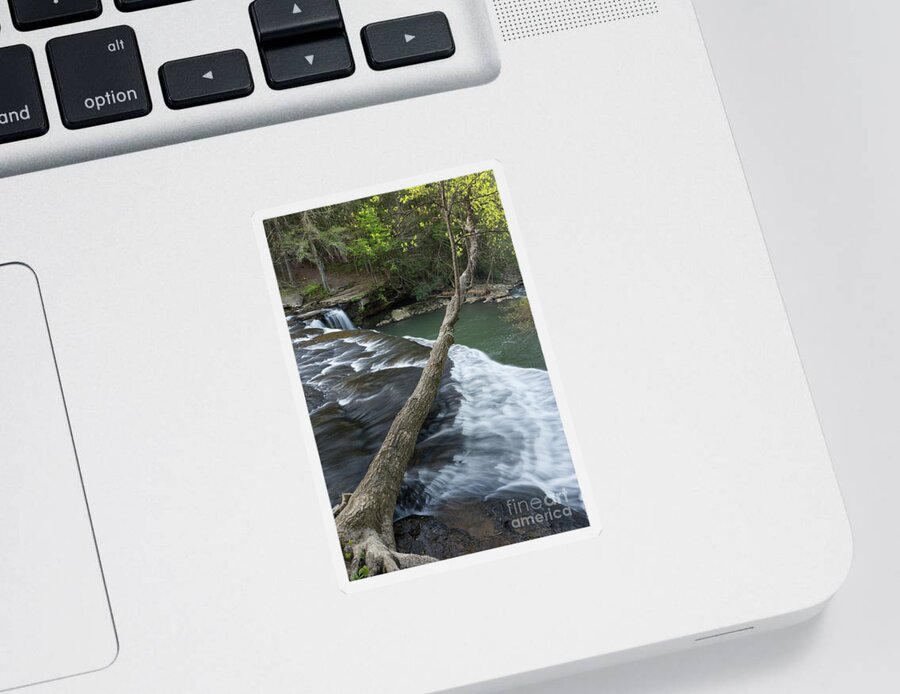 Waterfall Sticker featuring the photograph Upper Potter's Falls 7 by Phil Perkins