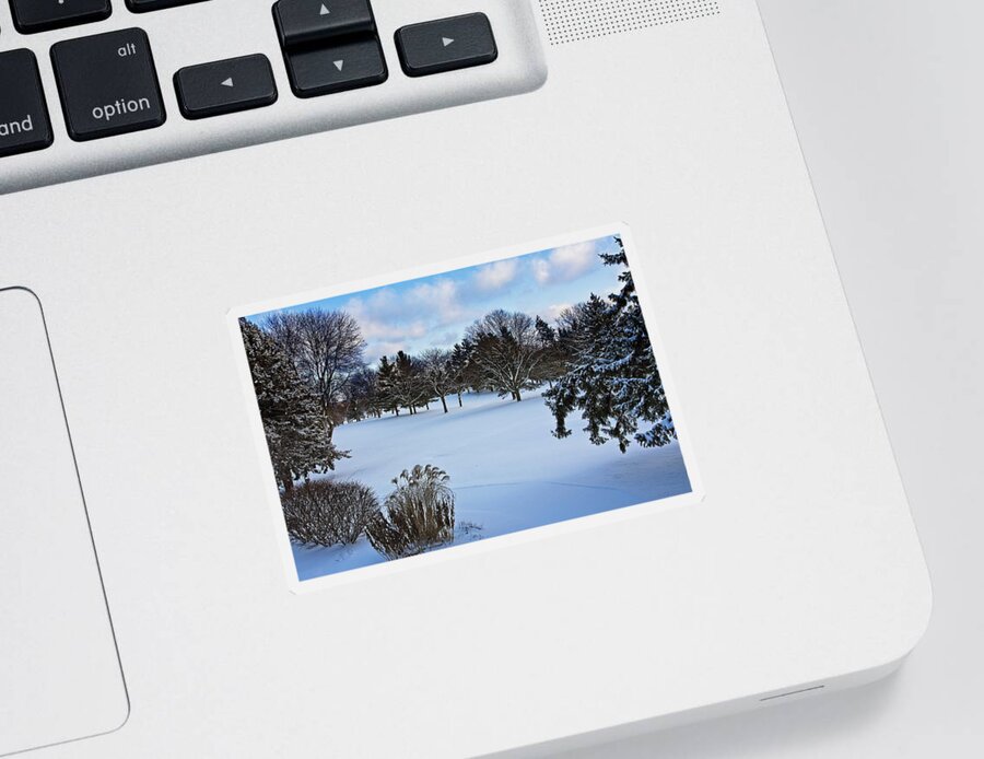 Arboretum Sticker featuring the photograph UW Arboretum Winter by Steven Ralser