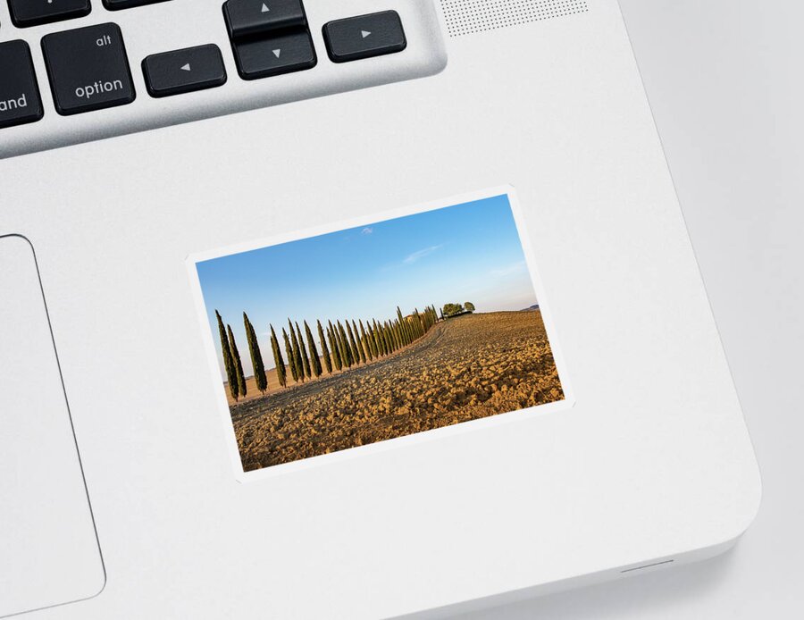 Orcia Sticker featuring the pyrography Val d'Orcia, famous group of cypress trees in Tuscany, Italy by Eleni Kouri