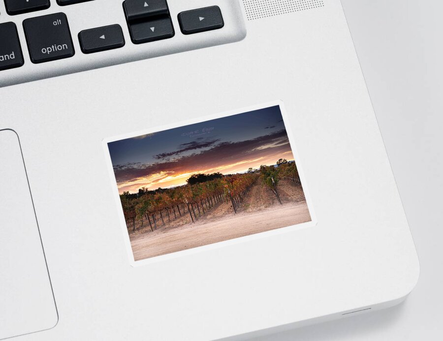 Landscape Sticker featuring the photograph Vineyard Sunset by Devin Wilson