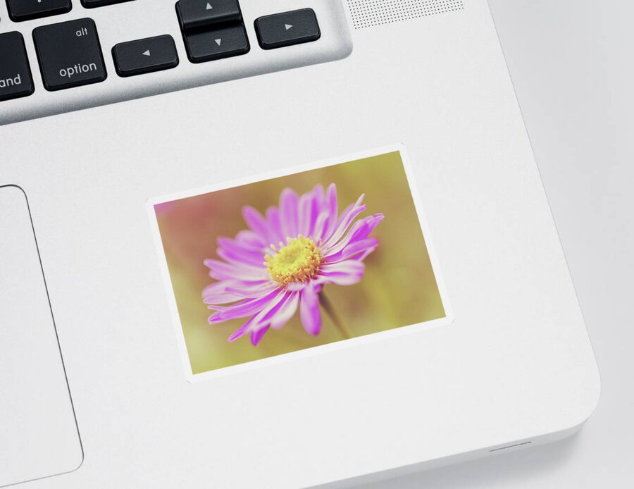 Flower Sticker featuring the photograph Vintage Aster Flower by Tanya C Smith