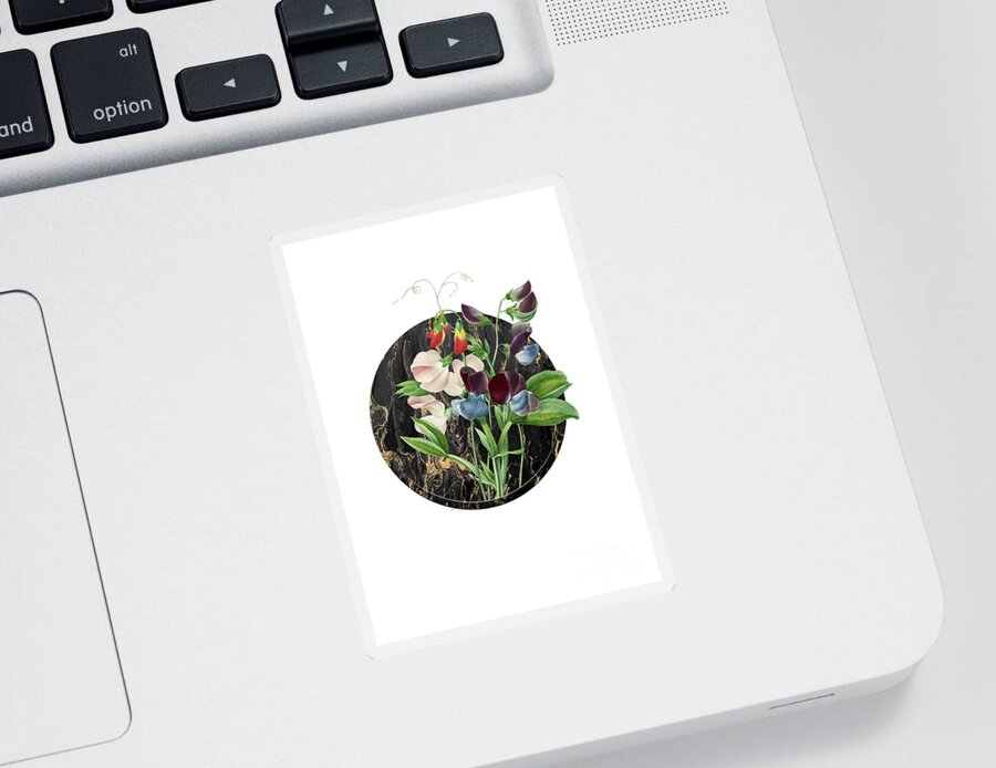 Vintage Sticker featuring the painting Vintage Sweet Pea Art in Gilded Marble on Clean White by Holy Rock Design