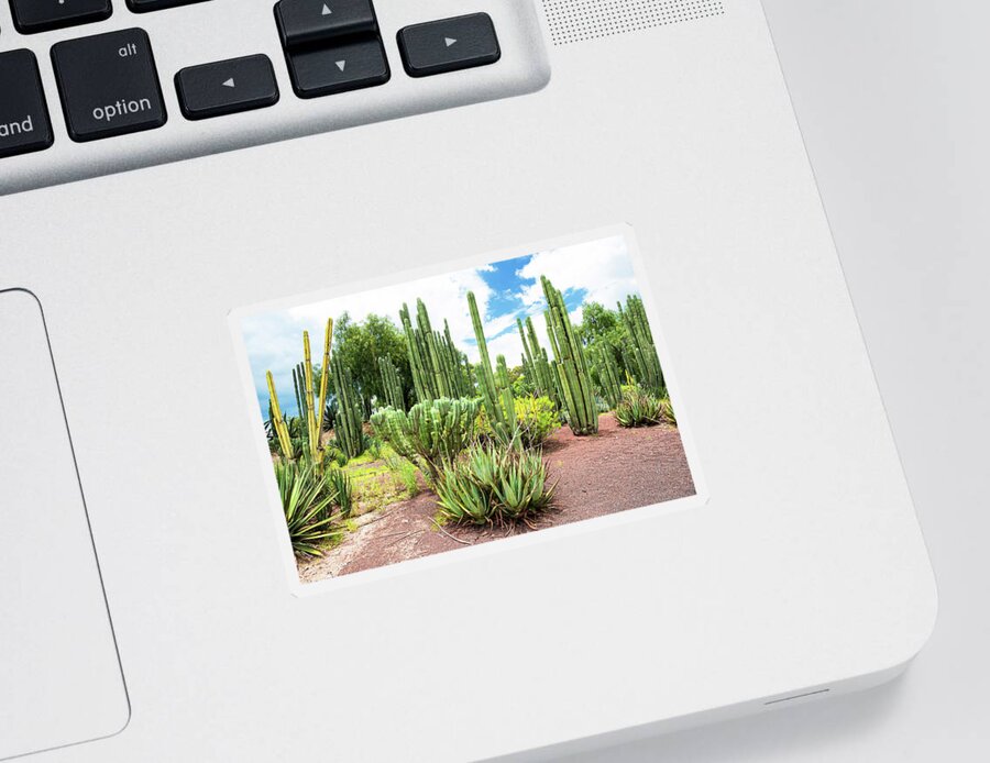 Mexico Sticker featuring the photograph Viva Mexico Collection - Cardon Cactus by Philippe HUGONNARD