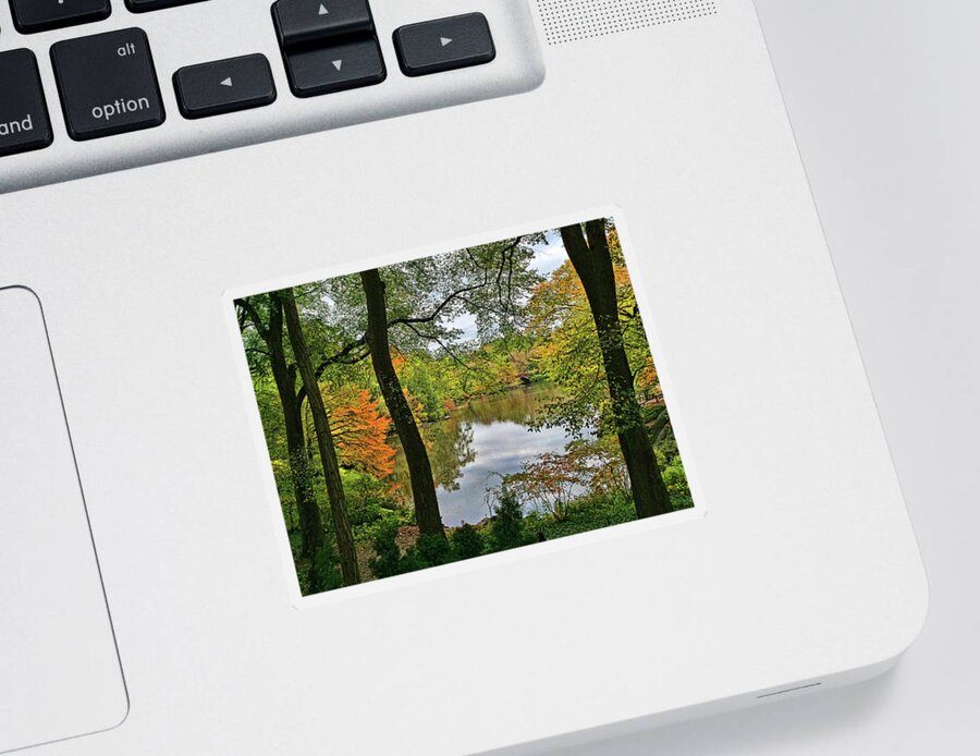 Pond Sticker featuring the photograph Walden Pond in Central Park by Allen Beatty