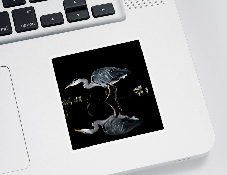 Grey Heron Sticker featuring the photograph Walking Heron by Mark Hunter