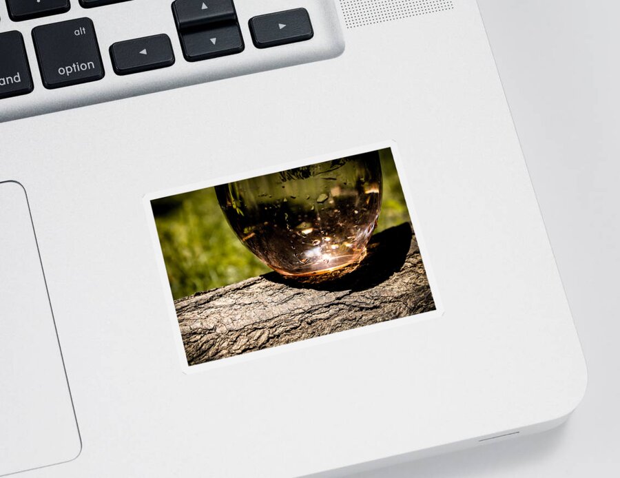 Water Sticker featuring the photograph Water Glass on a Log by W Craig Photography