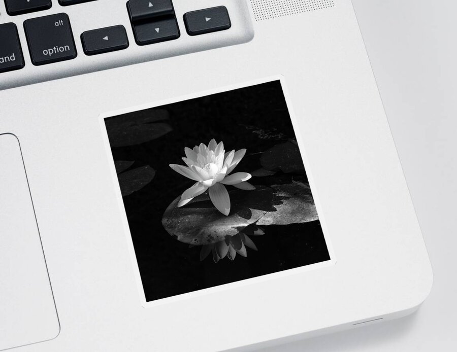 Botanic Sticker featuring the photograph Water Lily in Black and White by Mary Lee Dereske
